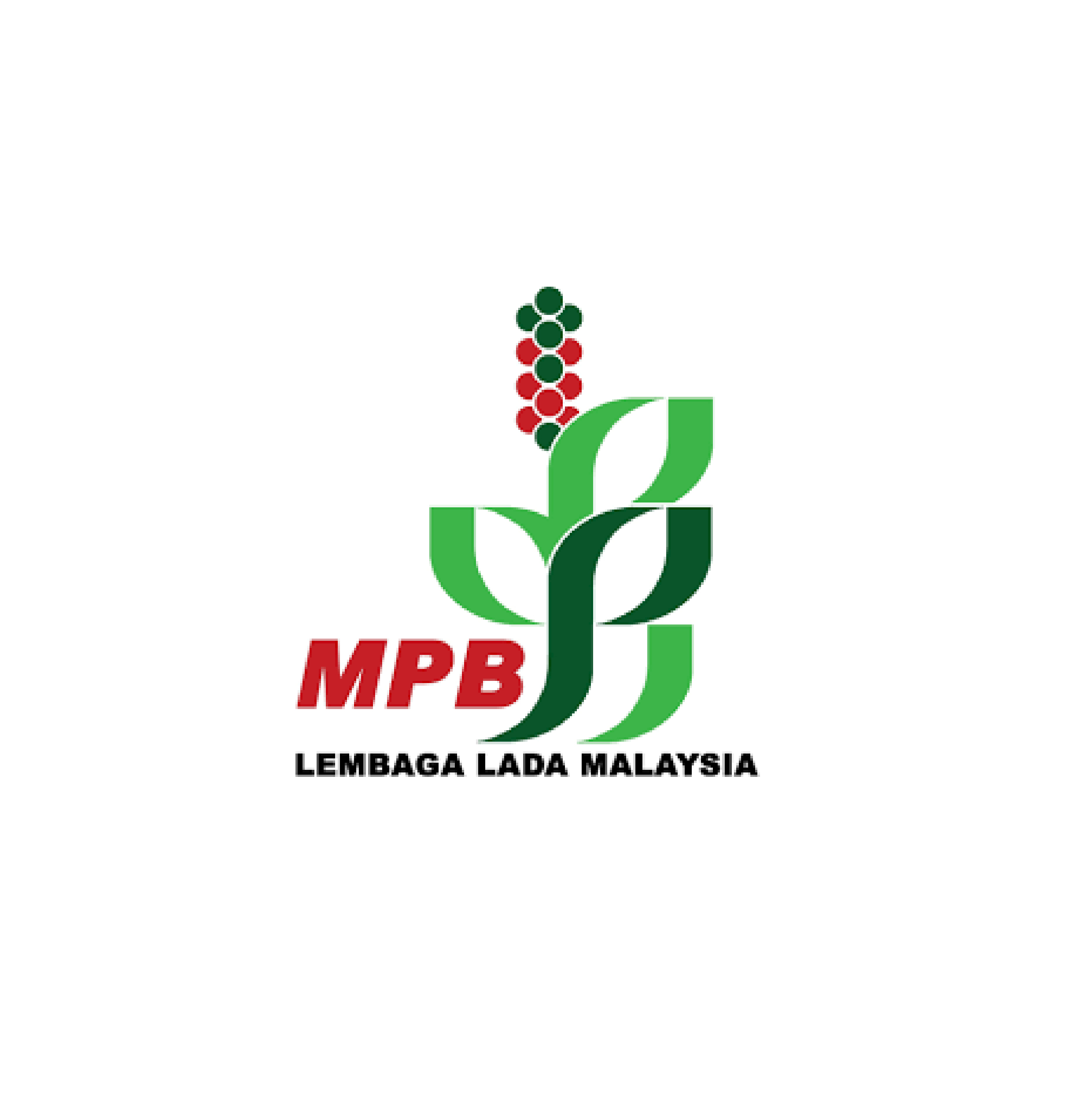 member img